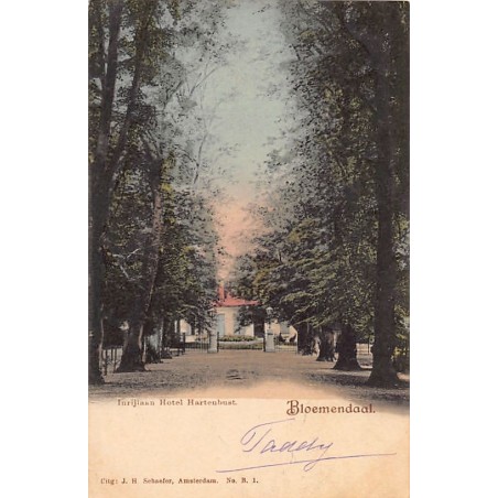 Rare collectable postcards of Netherlands. Vintage Postcards of Netherlands