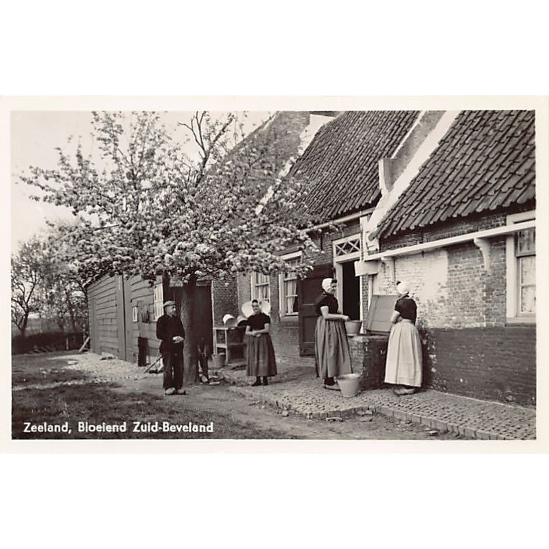Rare collectable postcards of Netherlands. Vintage Postcards of Netherlands
