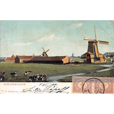 Rare collectable postcards of Netherlands. Vintage Postcards of Netherlands