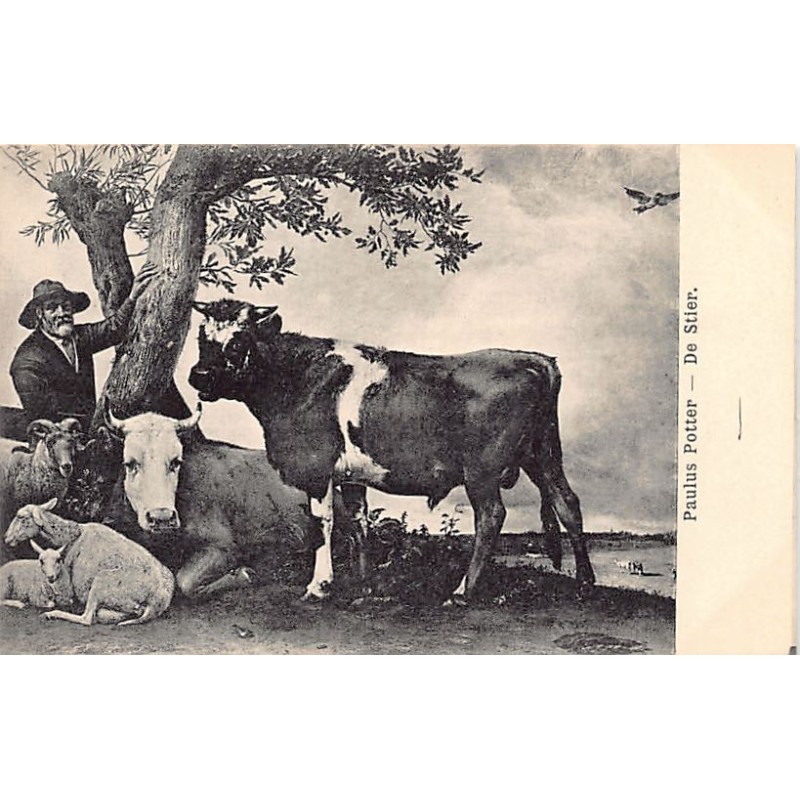 Rare collectable postcards of Netherlands. Vintage Postcards of Netherlands