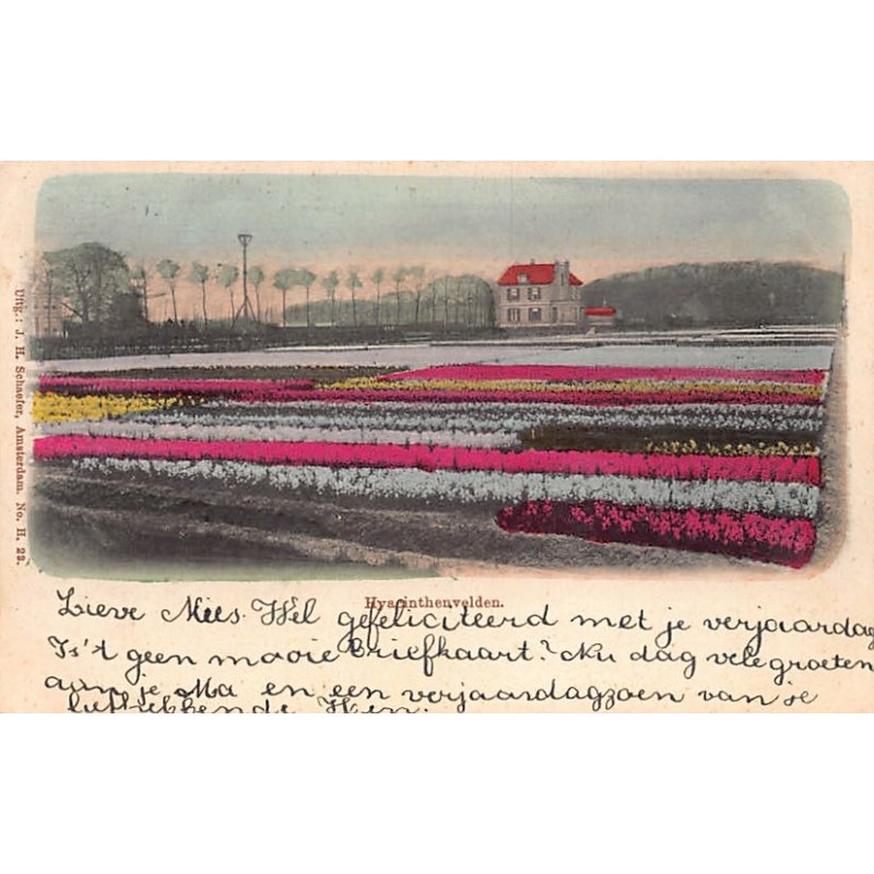 Rare collectable postcards of Netherlands. Vintage Postcards of Netherlands