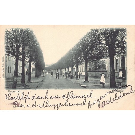 Rare collectable postcards of Netherlands. Vintage Postcards of Netherlands