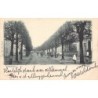 Rare collectable postcards of Netherlands. Vintage Postcards of Netherlands