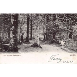 Rare collectable postcards of Netherlands. Vintage Postcards of Netherlands