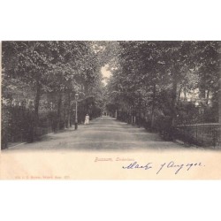 Rare collectable postcards of Netherlands. Vintage Postcards of Netherlands
