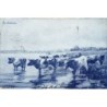 Rare collectable postcards of Netherlands. Vintage Postcards of Netherlands