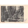 Rare collectable postcards of Netherlands. Vintage Postcards of Netherlands