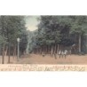 Rare collectable postcards of Netherlands. Vintage Postcards of Netherlands