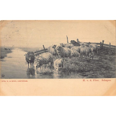 Rare collectable postcards of Netherlands. Vintage Postcards of Netherlands