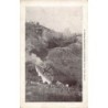 Rare collectable postcards of Australia. Vintage Postcards of Australia