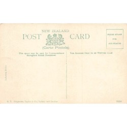 Rare collectable postcards of New Zealand. Vintage Postcards of New Zealand