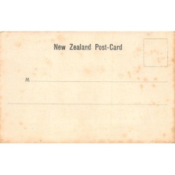 Rare collectable postcards of New Zealand. Vintage Postcards of New Zealand