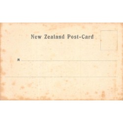 Rare collectable postcards of New Zealand. Vintage Postcards of New Zealand