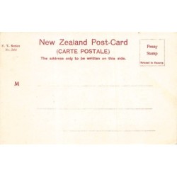 Rare collectable postcards of New Zealand. Vintage Postcards of New Zealand