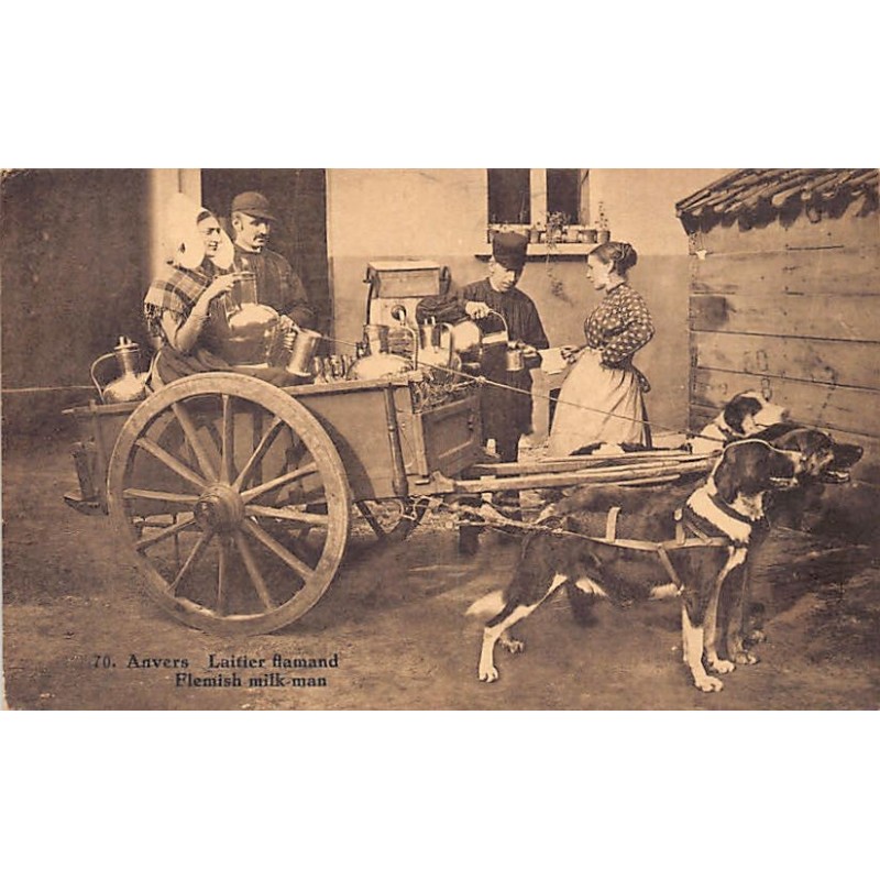 Rare collectable postcards of Belgium. Vintage Postcards of Belgium
