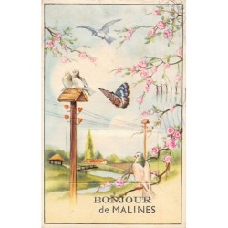 Rare collectable postcards of Belgium. Vintage Postcards of Belgium