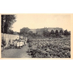 Rare collectable postcards of Belgium. Vintage Postcards of Belgium