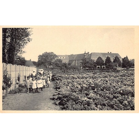 Rare collectable postcards of Belgium. Vintage Postcards of Belgium