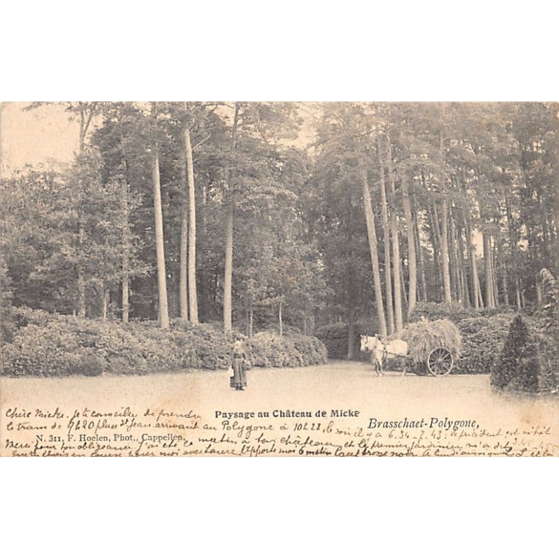 Rare collectable postcards of Belgium. Vintage Postcards of Belgium