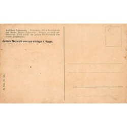 Rare collectable postcards of Belgium. Vintage Postcards of Belgium
