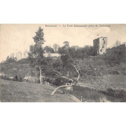 Rare collectable postcards of Belgium. Vintage Postcards of Belgium