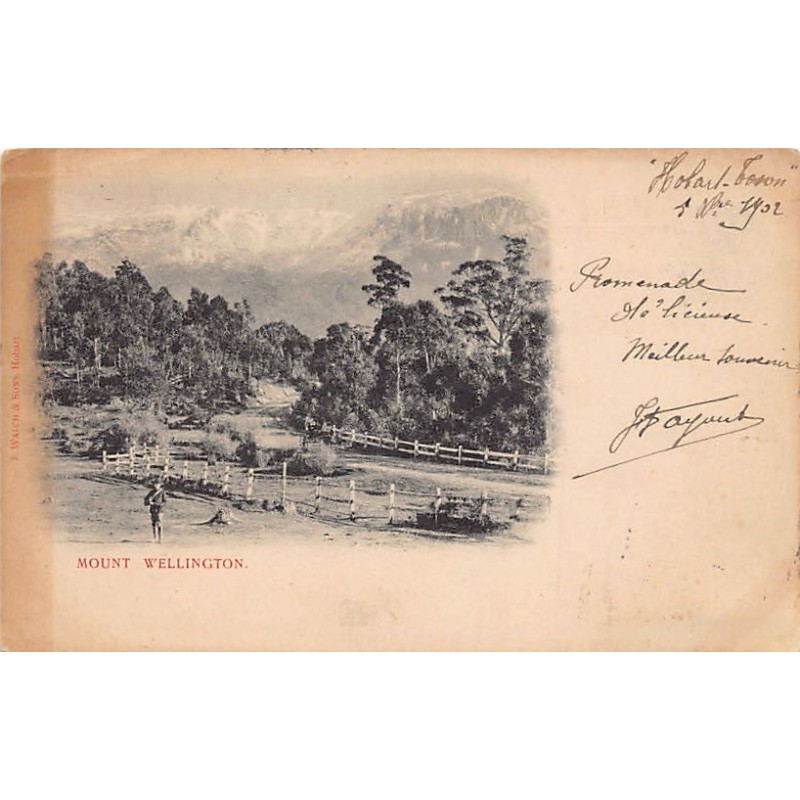 Rare collectable postcards of AUSTRALIA. Vintage Postcards of AUSTRALIA