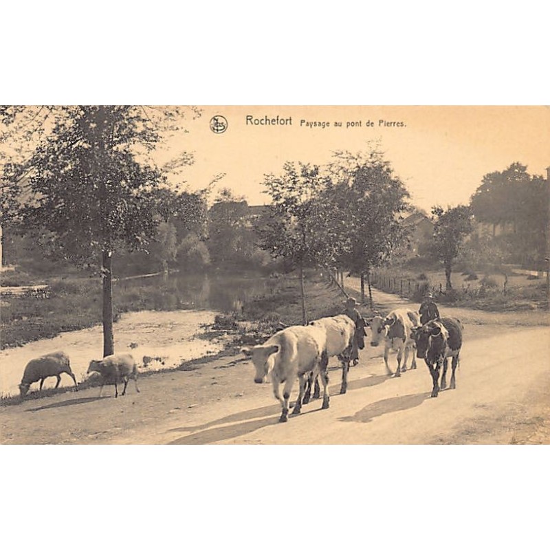 Rare collectable postcards of Belgium. Vintage Postcards of Belgium