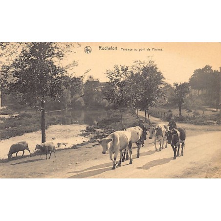 Rare collectable postcards of Belgium. Vintage Postcards of Belgium