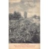 Rare collectable postcards of Belgium. Vintage Postcards of Belgium