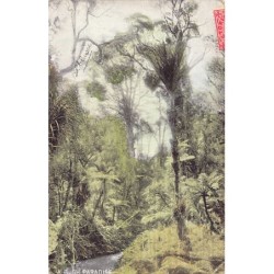 Rare collectable postcards of AUSTRALIA. Vintage Postcards of AUSTRALIA