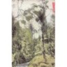 Australia - Our Beautiful Bush - A Bush Paradise - Publ. Harding & Billing's Post Card Series 60 - N. 5