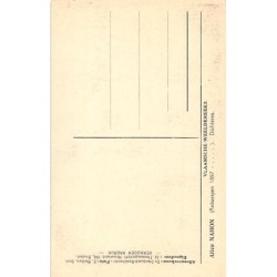 Rare collectable postcards of Belgium. Vintage Postcards of Belgium