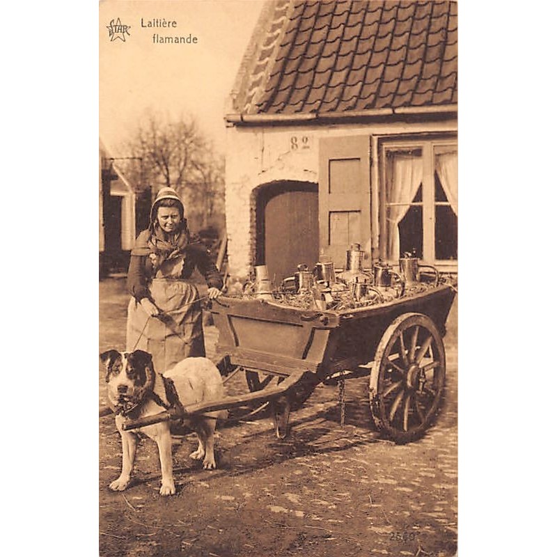 Rare collectable postcards of Belgium. Vintage Postcards of Belgium