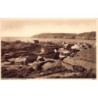 Rare collectable postcards of United Kingdom - England. Vintage Postcards of United Kingdom - England