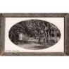Rare collectable postcards of Egypt. Vintage Postcards of Egypt