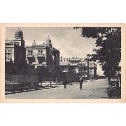 Rare collectable postcards of Egypt. Vintage Postcards of Egypt