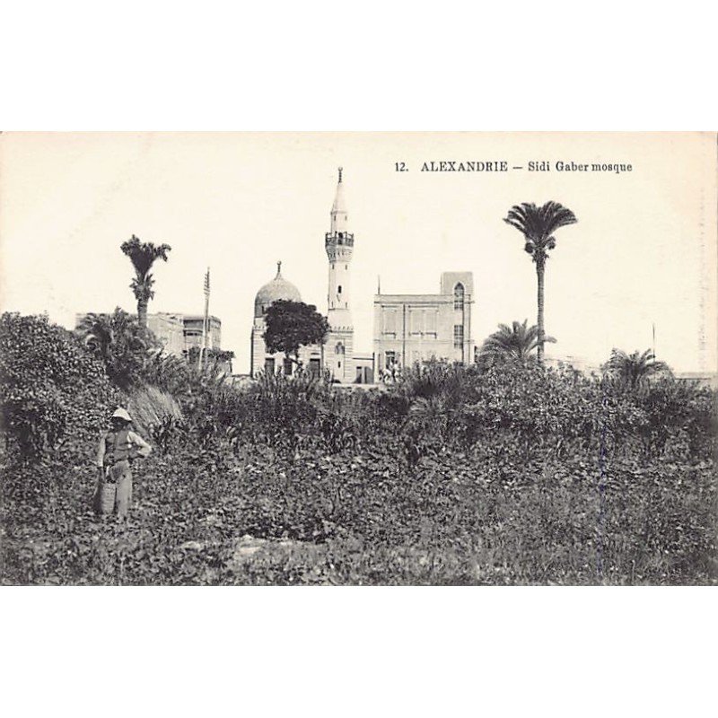 Rare collectable postcards of Egypt. Vintage Postcards of Egypt