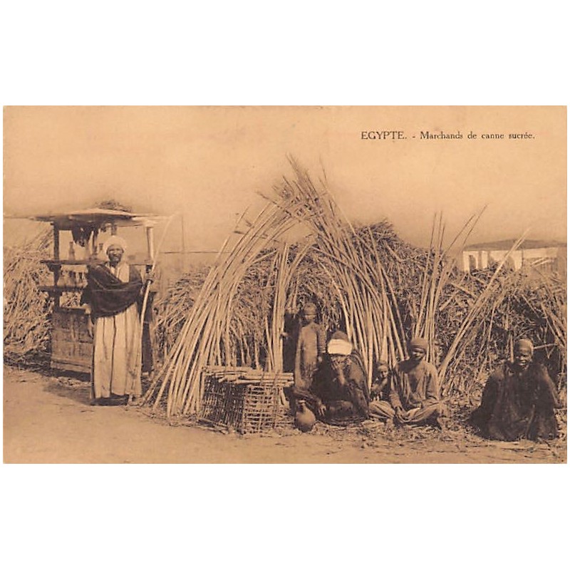 Rare collectable postcards of Egypt. Vintage Postcards of Egypt
