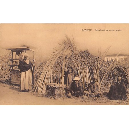 Rare collectable postcards of Egypt. Vintage Postcards of Egypt