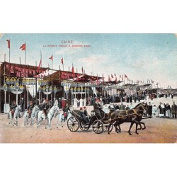 Rare collectable postcards of Egypt. Vintage Postcards of Egypt