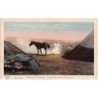 Rare collectable postcards of Morocco. Vintage Postcards of Morocco