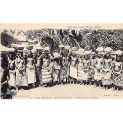 Rare collectable postcards of CÔTE D'IVOIRE. Vintage Postcards of CÔTE D'IVOIRE