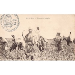 Rare collectable postcards of Morocco. Vintage Postcards of Morocco