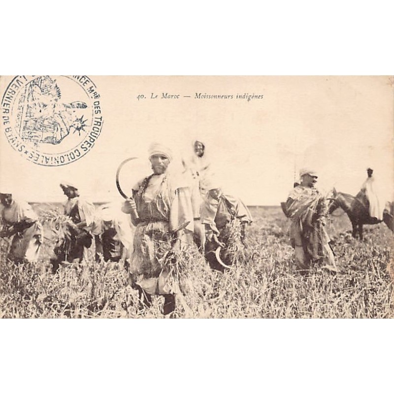 Rare collectable postcards of Morocco. Vintage Postcards of Morocco