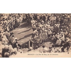 Rare collectable postcards of Morocco. Vintage Postcards of Morocco