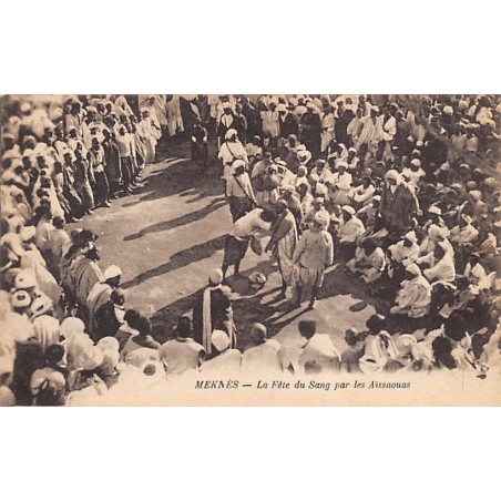 Rare collectable postcards of Morocco. Vintage Postcards of Morocco
