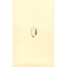 Rare collectable postcards of Morocco. Vintage Postcards of Morocco