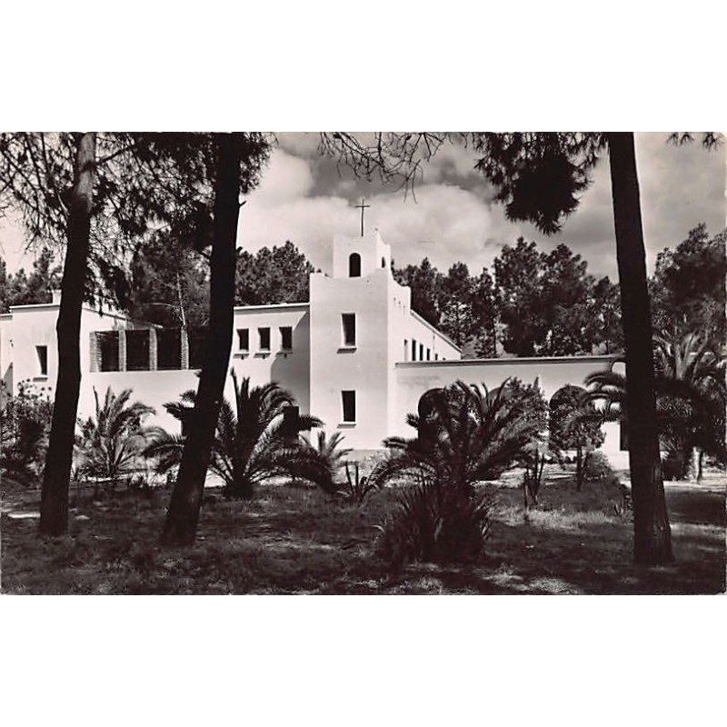 Rare collectable postcards of Morocco. Vintage Postcards of Morocco