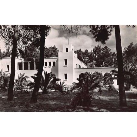 Rare collectable postcards of Morocco. Vintage Postcards of Morocco