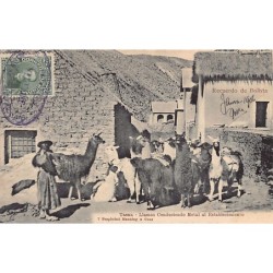 Rare collectable postcards of Bolivia. Vintage Postcards of Bolivia